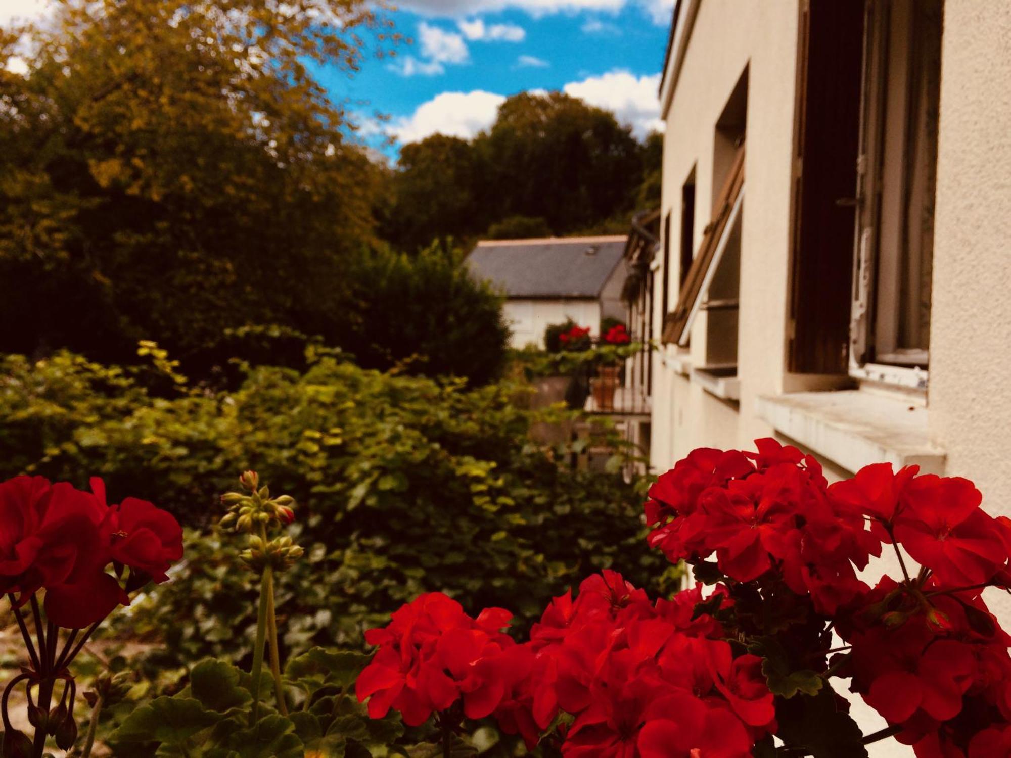 Le Clos Rabelais Langeais Exteriör bild